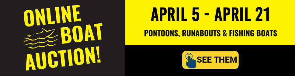 auction lot category banner