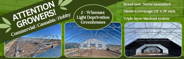 cannabis-greenhouse-auction