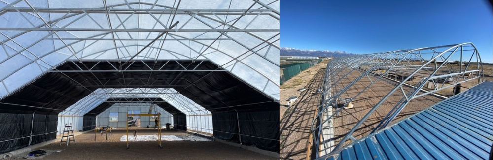 greenhouse-and-lab-auction