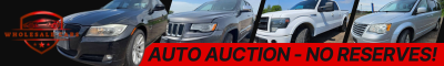 Auto-Auctions