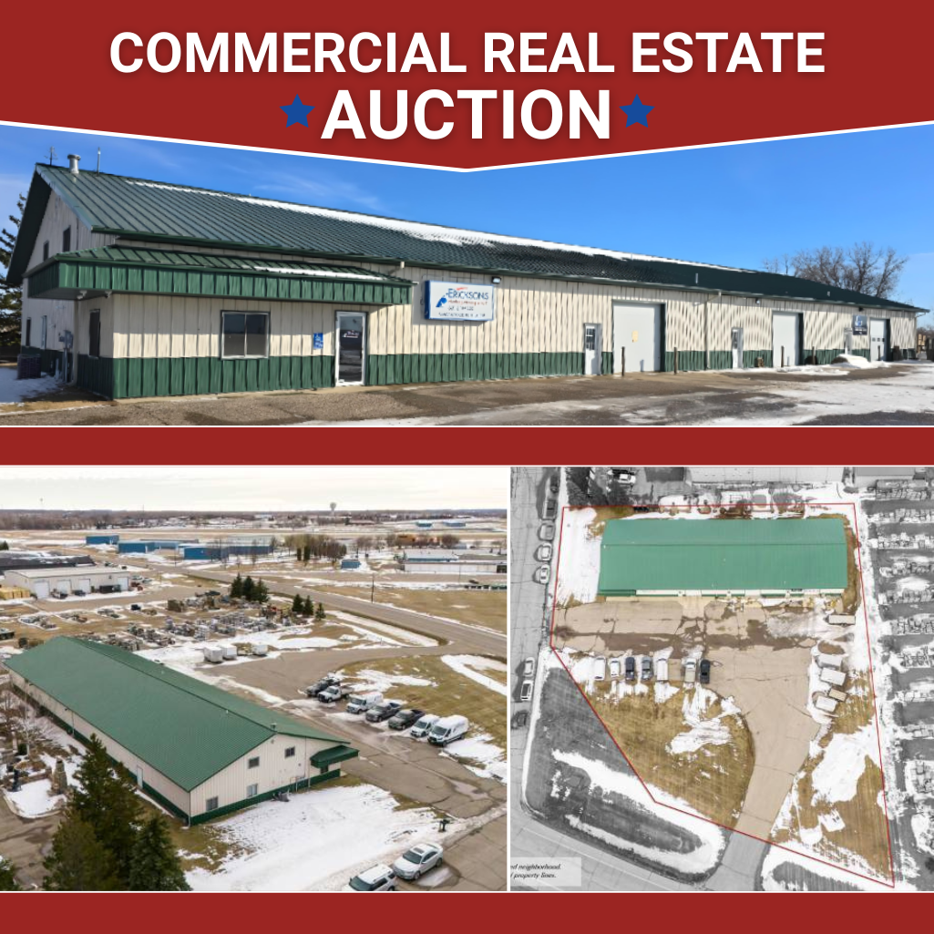 Real Estate Auction